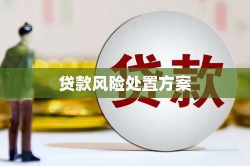 恒山贷款风险处置方案