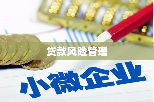恒山贷款风险管理