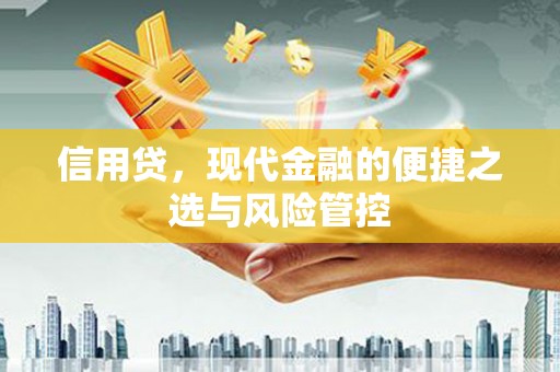 恒山信用贷，现代金融的便捷之选与风险管控