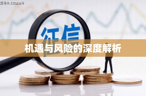 恒山机遇与风险的深度解析