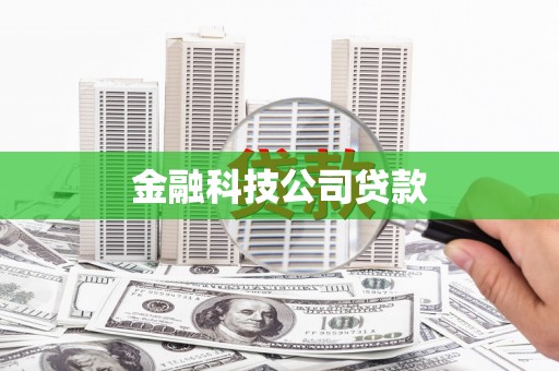 恒山金融科技公司贷款