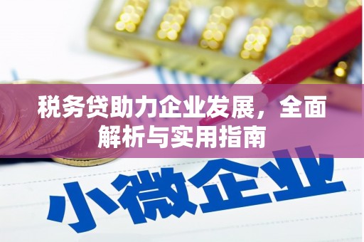 恒山税务贷助力企业发展，全面解析与实用指南