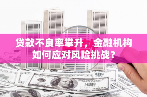 恒山贷款不良率攀升，金融机构如何应对风险挑战？