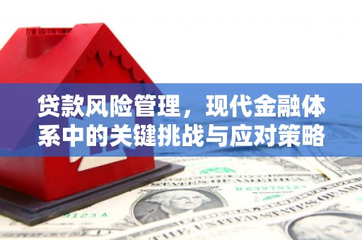 恒山贷款风险管理，现代金融体系中的关键挑战与应对策略