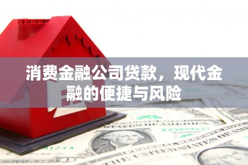恒山消费金融公司贷款，现代金融的便捷与风险