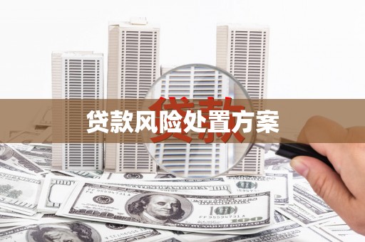 恒山贷款风险处置方案