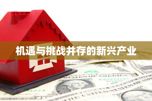 恒山机遇与挑战并存的新兴产业