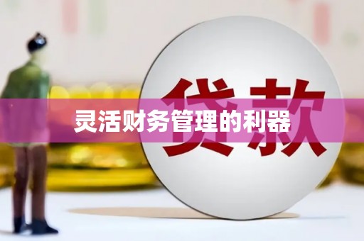恒山灵活财务管理的利器