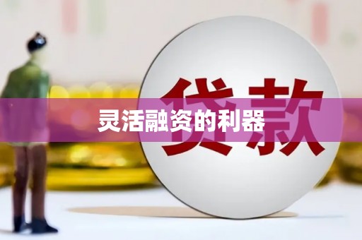 恒山灵活融资的利器