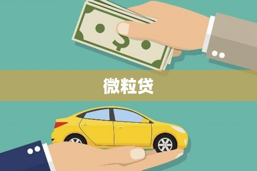 恒山微粒贷