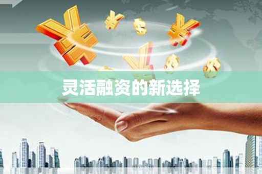 恒山灵活融资的新选择