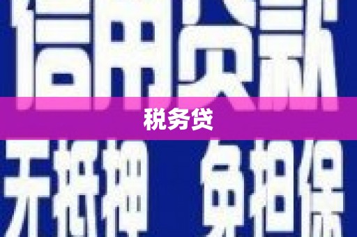 恒山税务贷