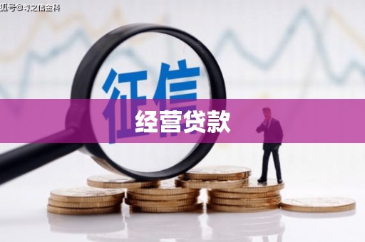 恒山经营贷款