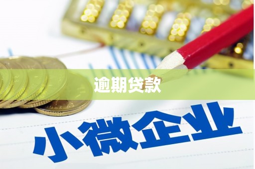 恒山逾期贷款