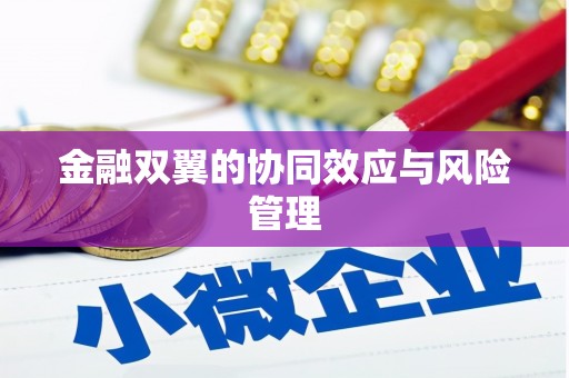 恒山金融双翼的协同效应与风险管理