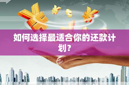 恒山如何选择最适合你的还款计划？