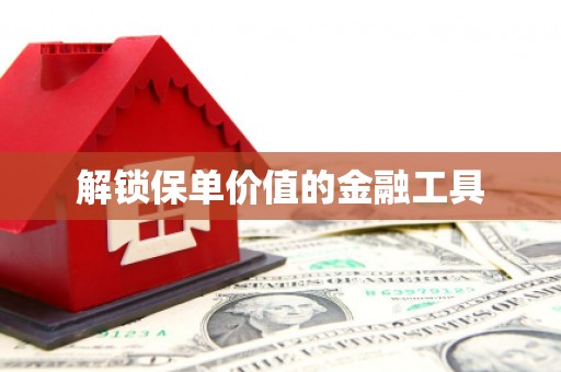 恒山解锁保单价值的金融工具