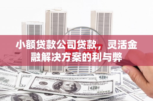 恒山小额贷款公司贷款，灵活金融解决方案的利与弊