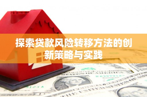 恒山探索贷款风险转移方法的创新策略与实践